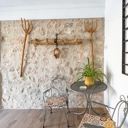 La Casa De Mis Padres 2